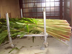 沖縄 中部 エステ
